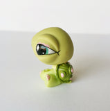 LPS 504 - Turtle