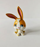 LPS - Rabbit #75