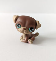 LPS - Pug #889