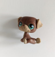 LPS - Pug #889