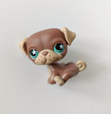 LPS - Pug #889