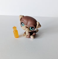 LPS - Pug #889